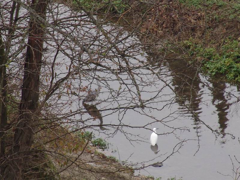 Ancora sul fiume..